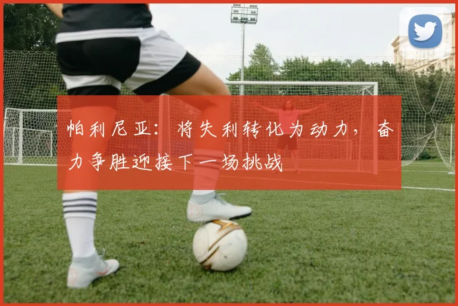 帕利尼亚：将失利转化为动力，奋力争胜迎接下一场挑战