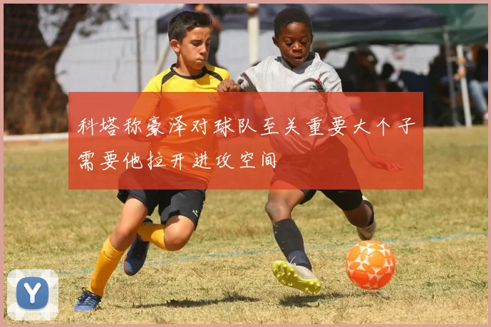 科塔称豪泽对球队至关重要大个子需要他拉开进攻空间
